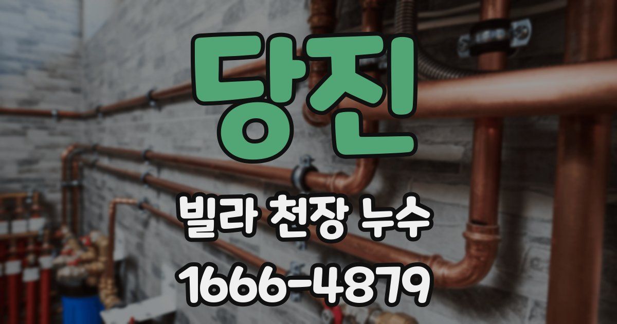 당진 빌라 천장 누수