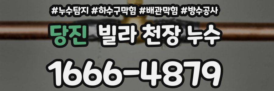 당진 빌라 천장 누수