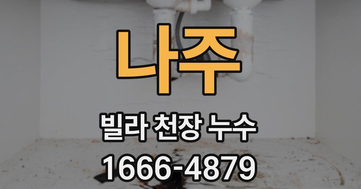 나주 빌라 천장 누수