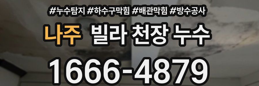 나주 빌라 천장 누수