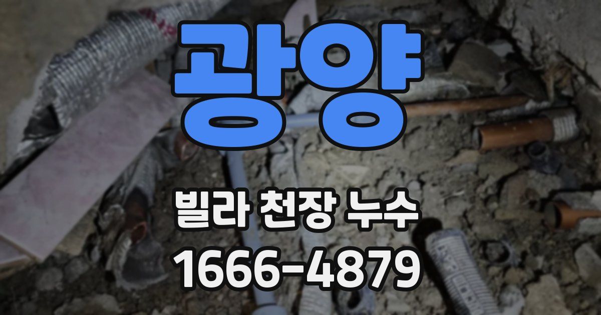 광양 빌라 천장 누수