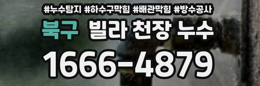 북구 빌라 천장 누수
