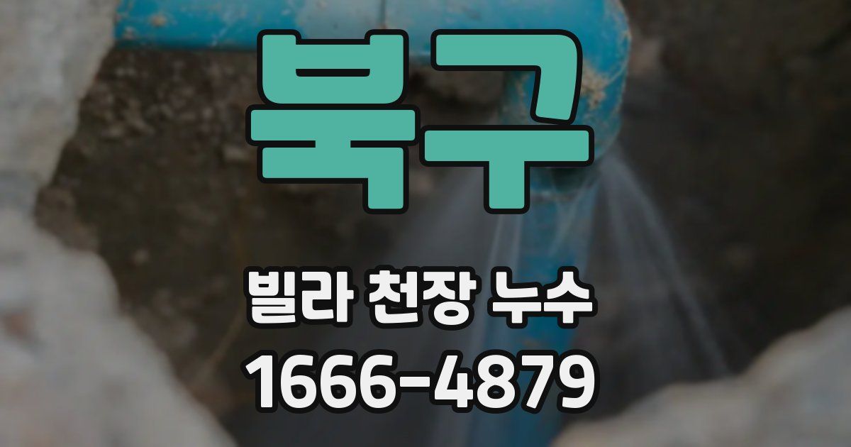 북구 빌라 천장 누수