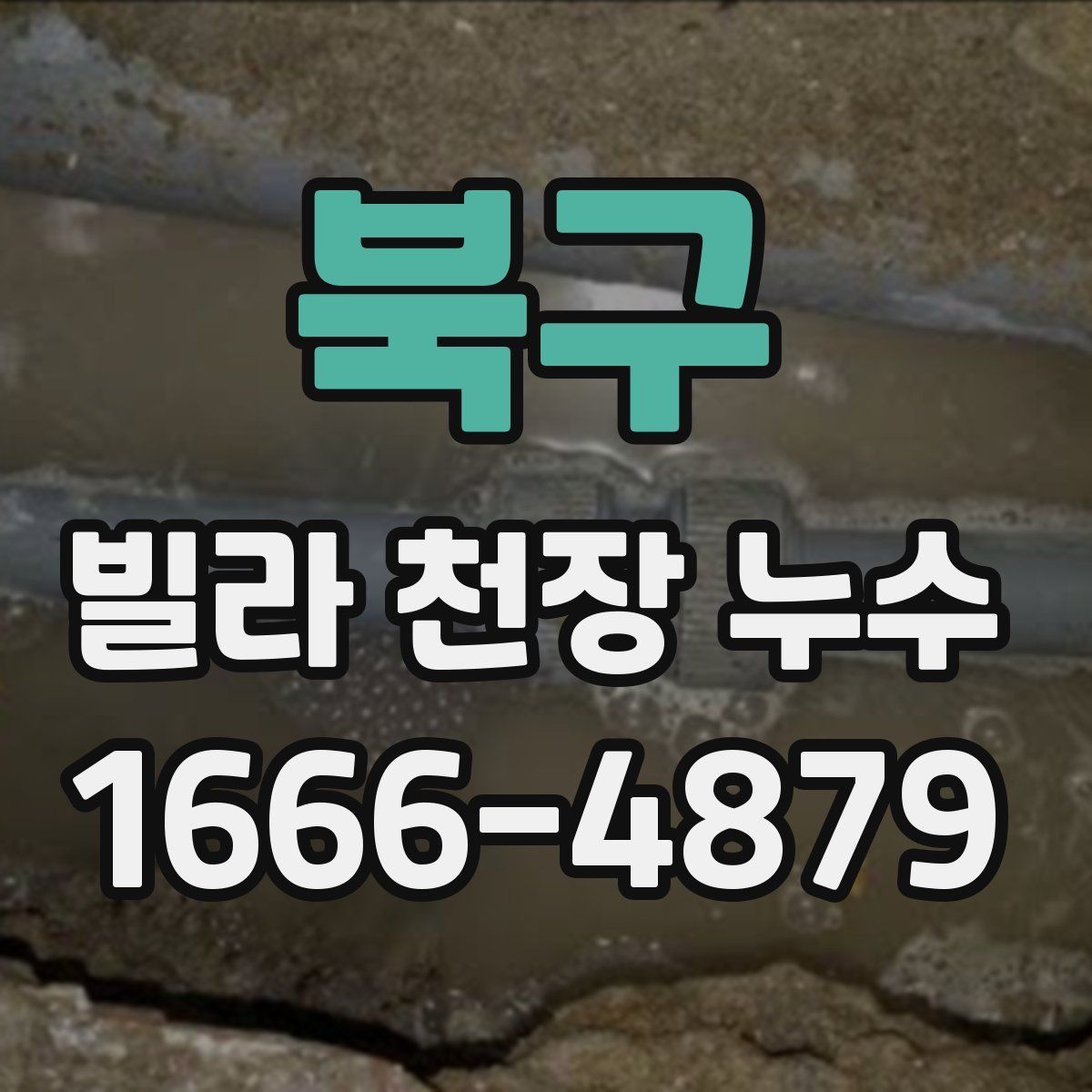 북구 빌라 천장 누수