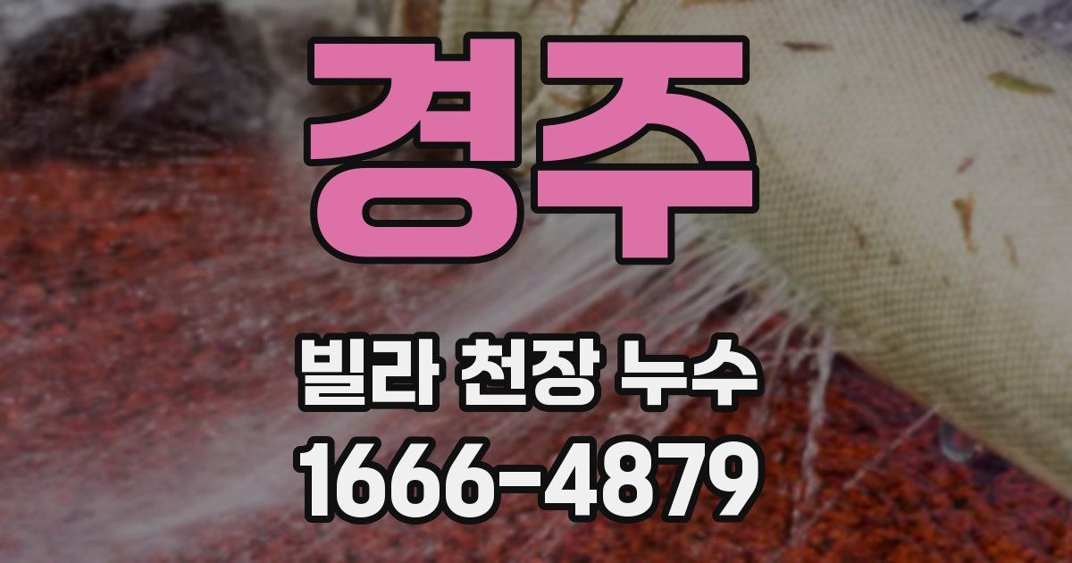 경주 빌라 천장 누수