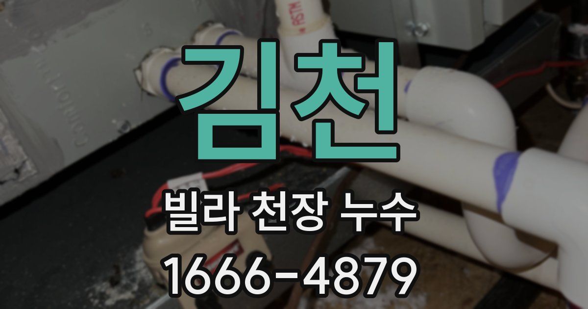 김천 빌라 천장 누수