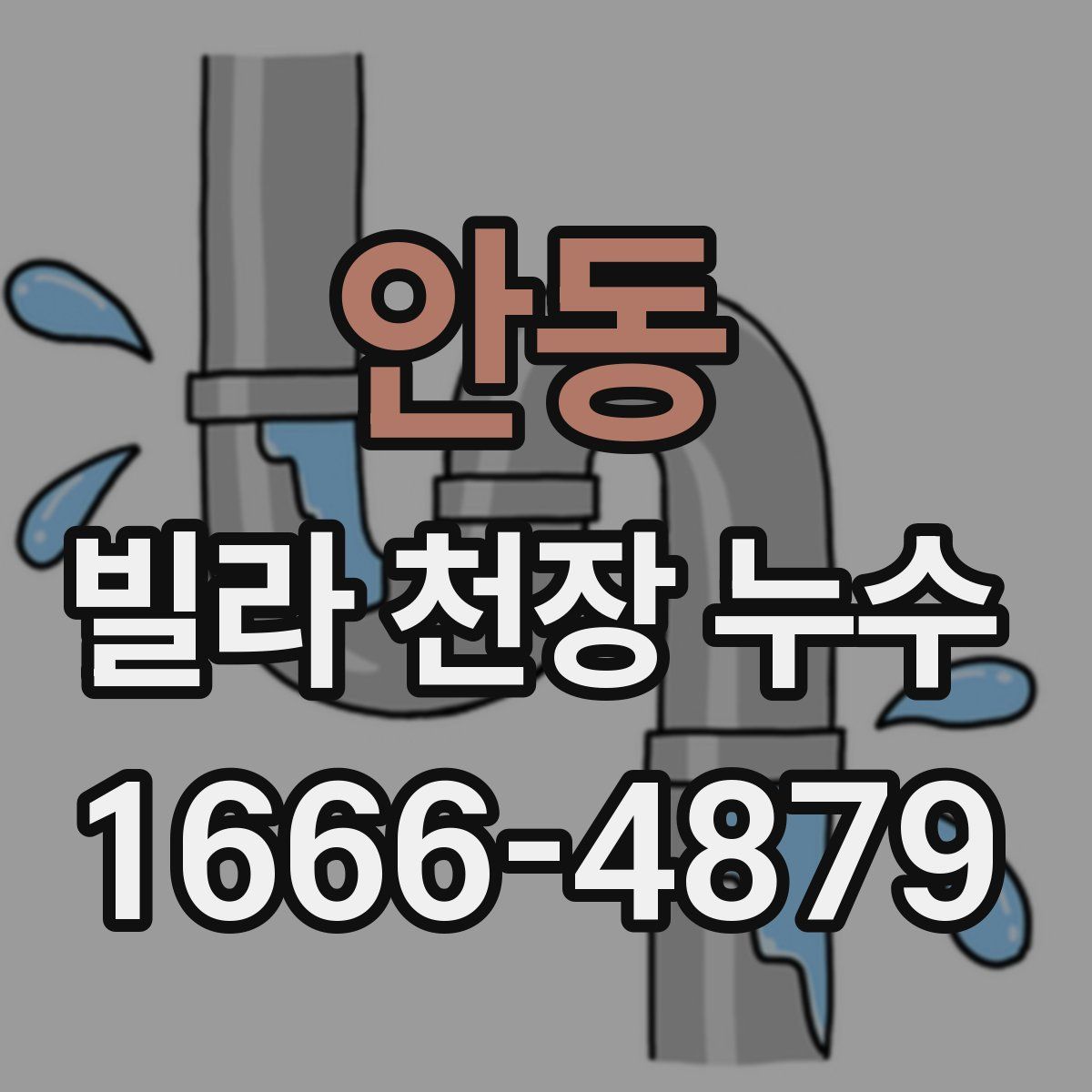 안동 빌라 천장 누수