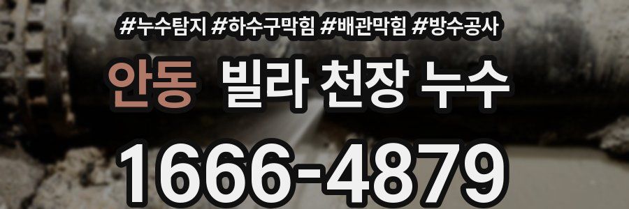 안동 빌라 천장 누수