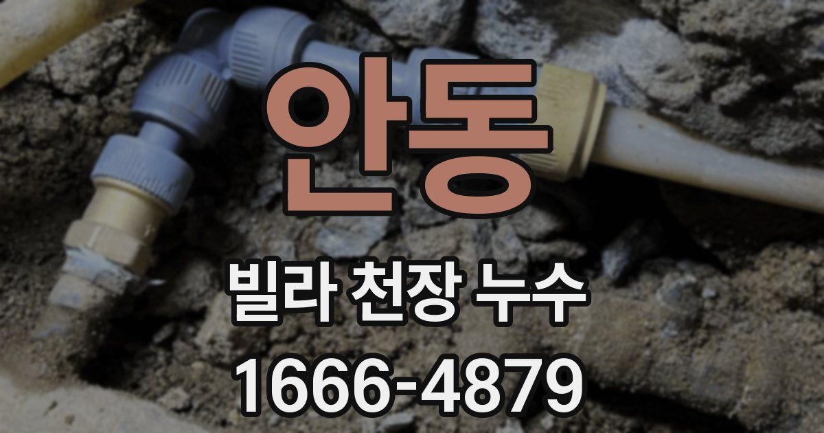 안동 빌라 천장 누수