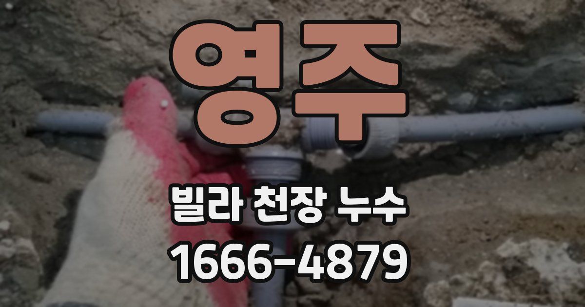 영주 빌라 천장 누수