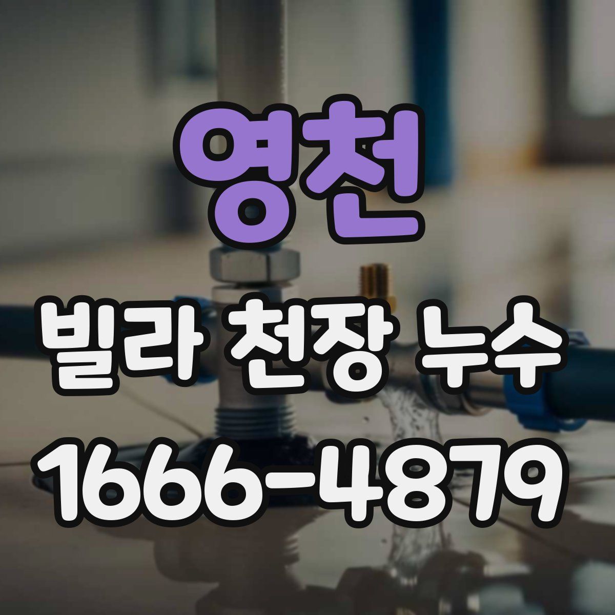 영천 빌라 천장 누수