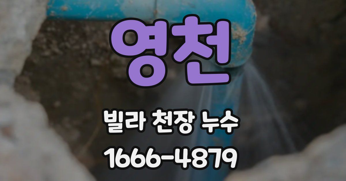 영천 빌라 천장 누수
