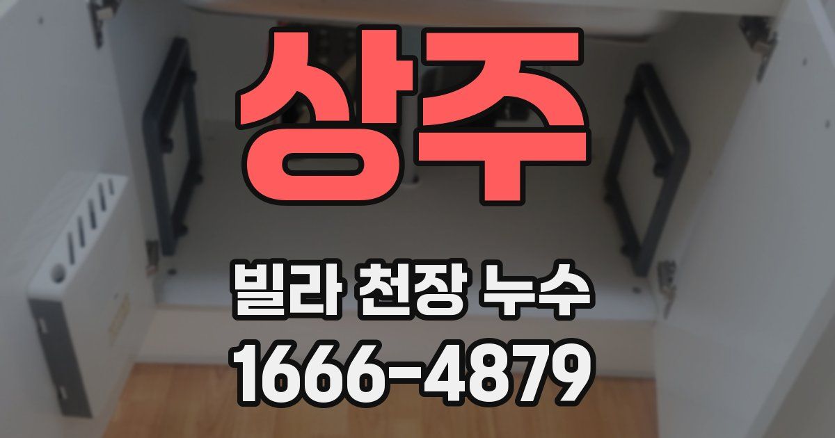 상주 빌라 천장 누수
