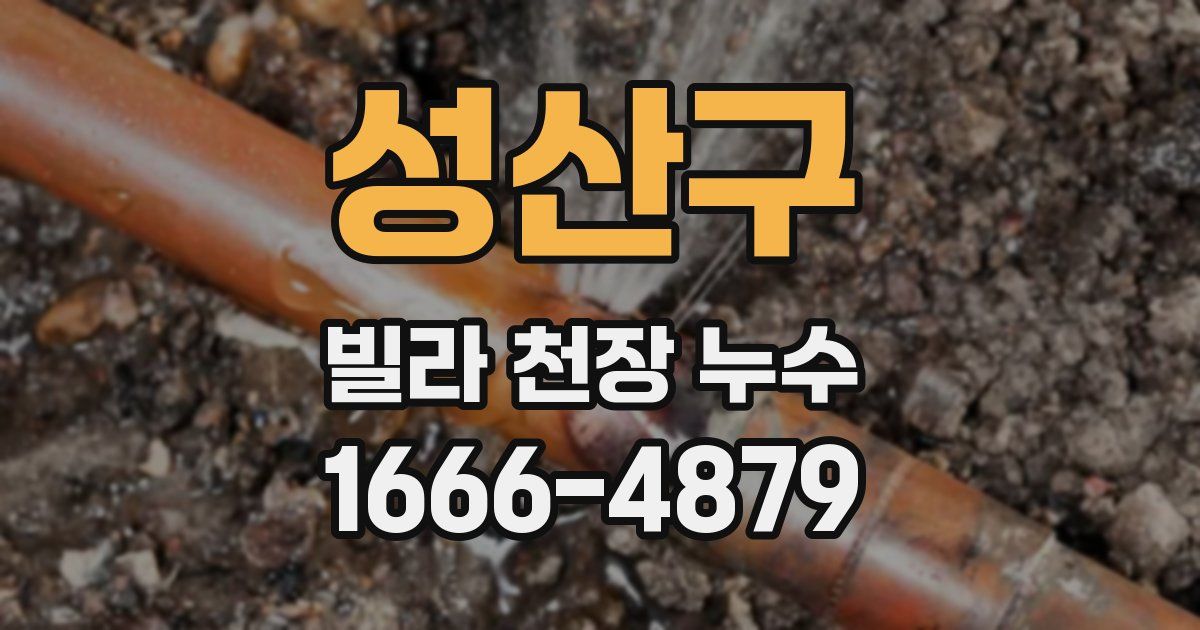성산구 빌라 천장 누수