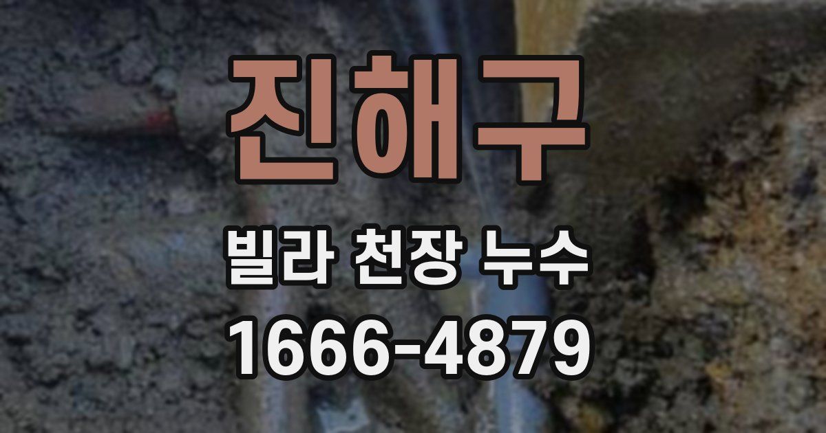진해구 빌라 천장 누수