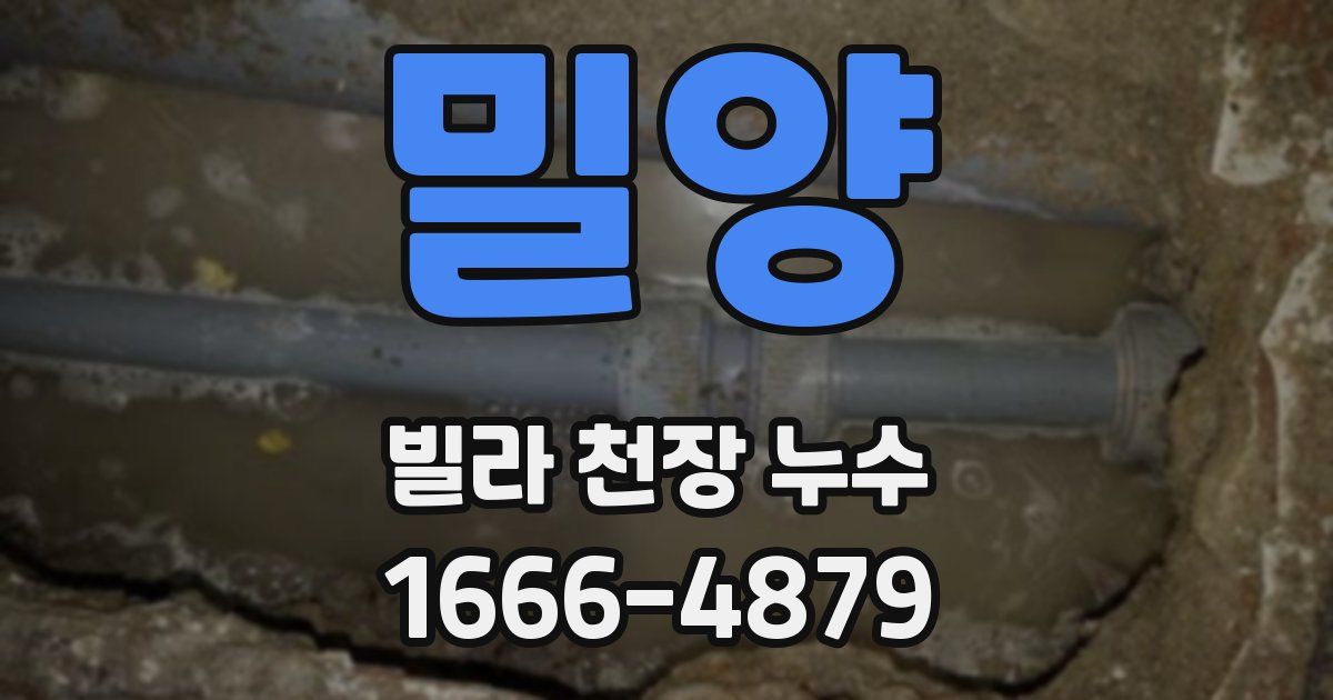 밀양 빌라 천장 누수