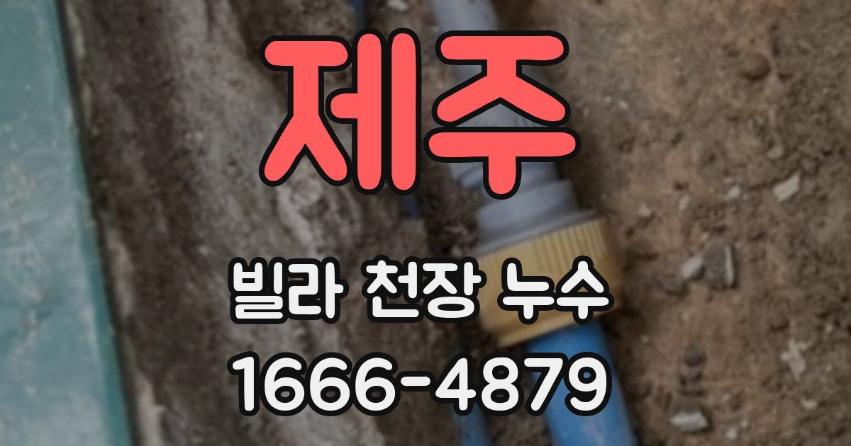 제주 빌라 천장 누수