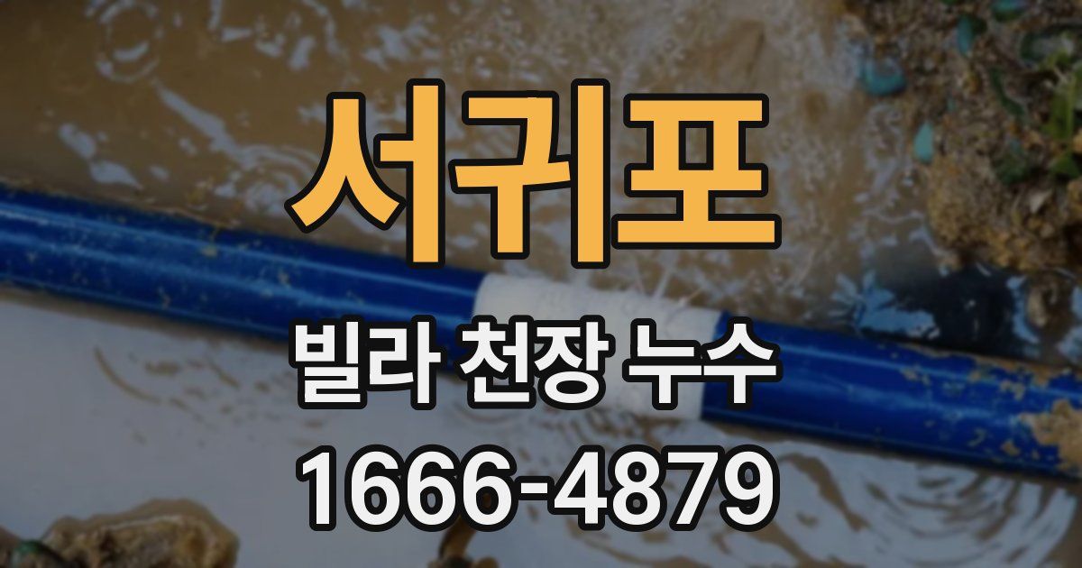 서귀포 빌라 천장 누수