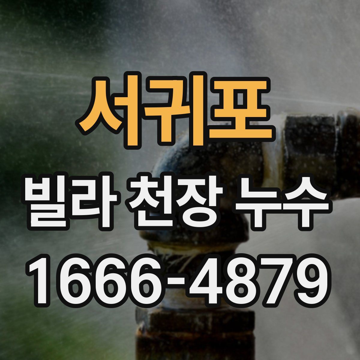 서귀포 빌라 천장 누수
