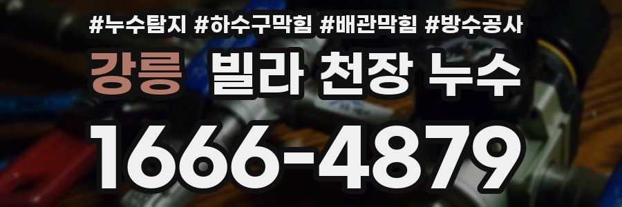 강릉 빌라 천장 누수