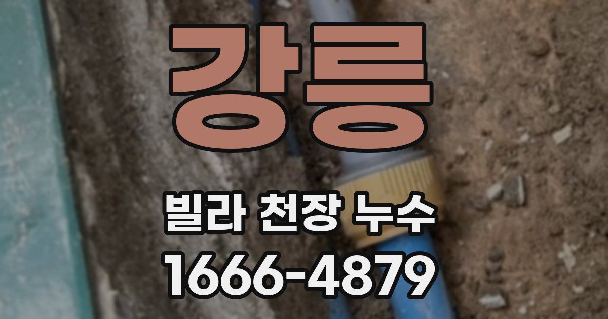 강릉 빌라 천장 누수