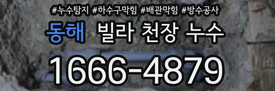 동해 빌라 천장 누수