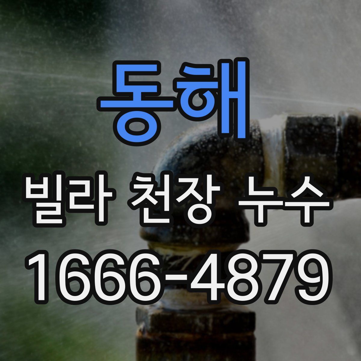 동해 빌라 천장 누수