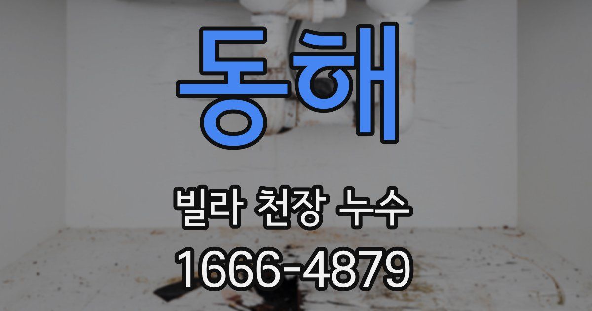동해 빌라 천장 누수