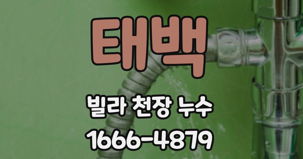 태백 빌라 천장 누수