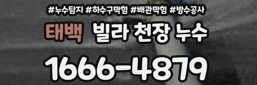 태백 빌라 천장 누수