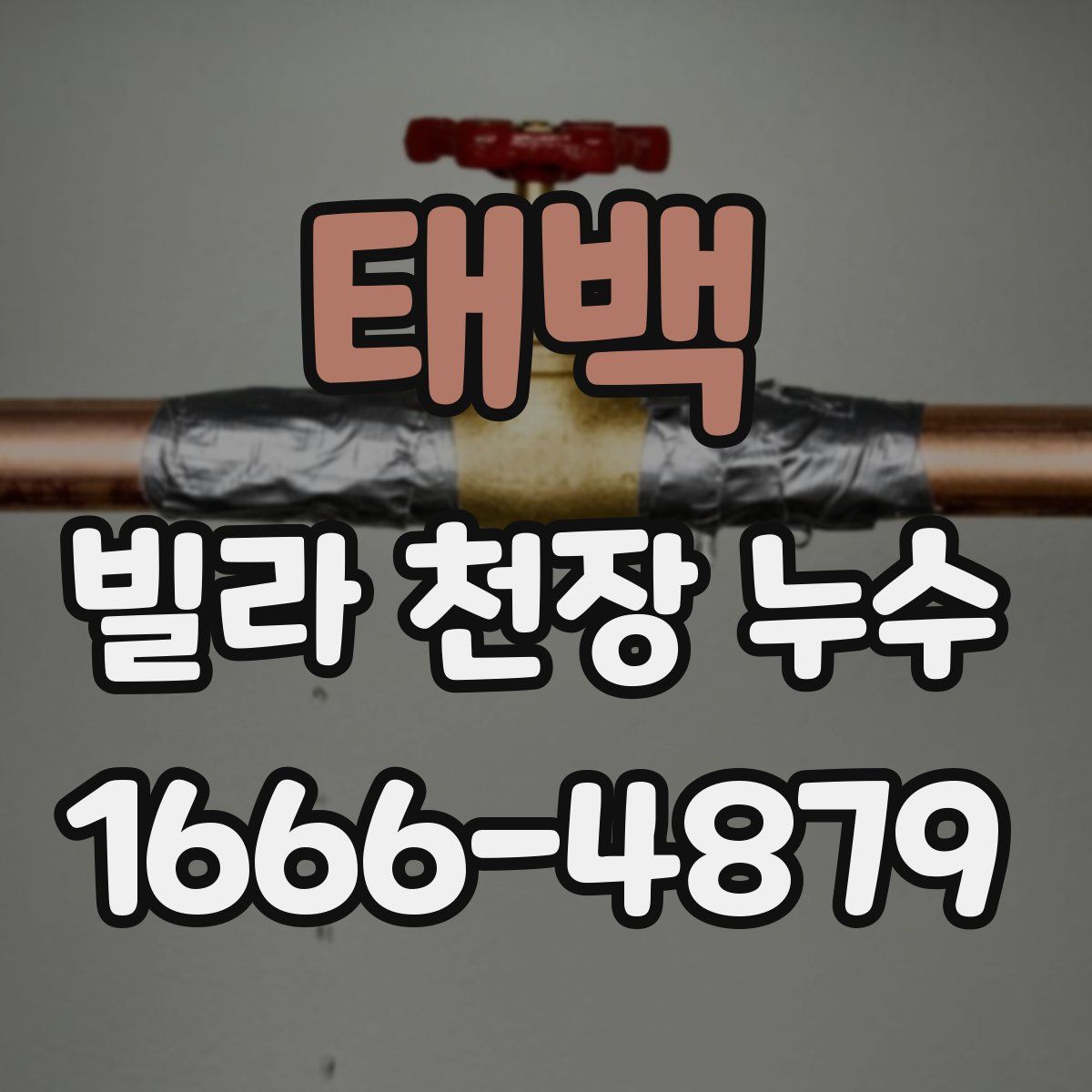 태백 빌라 천장 누수