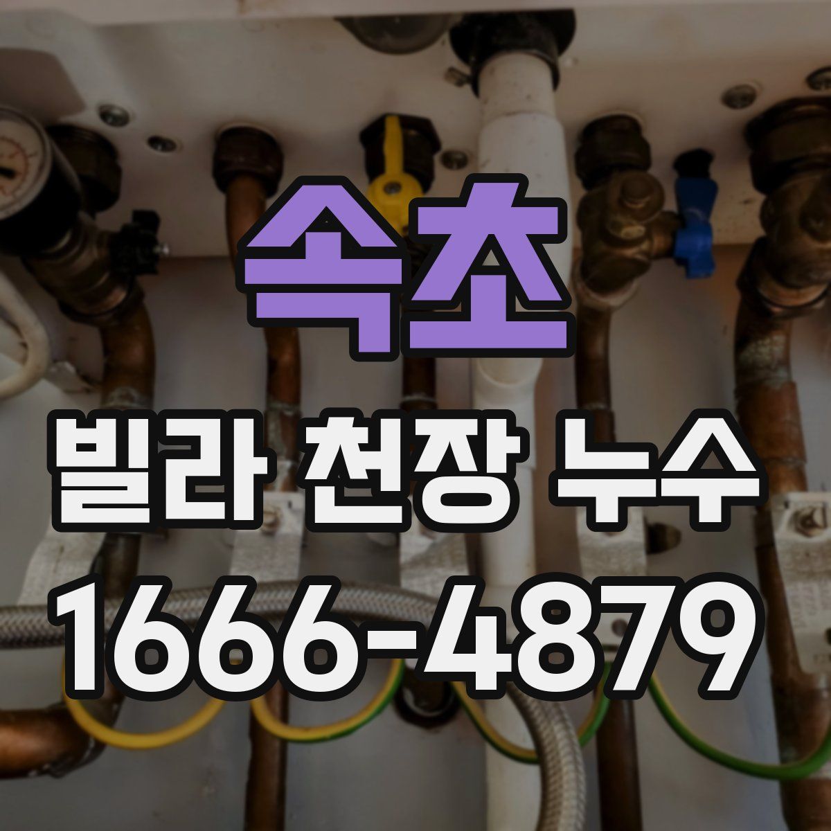속초 빌라 천장 누수