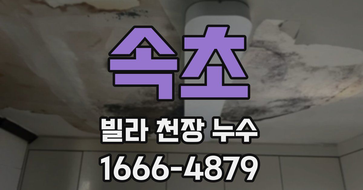 속초 빌라 천장 누수