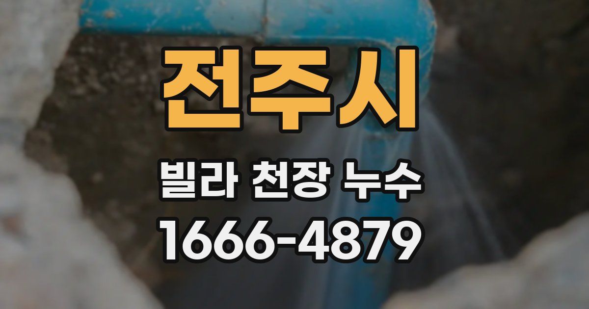 전주시 빌라 천장 누수
