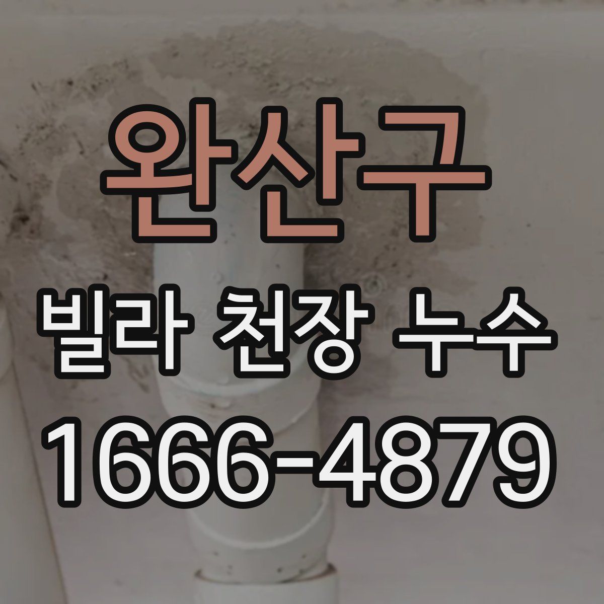 완산구 빌라 천장 누수