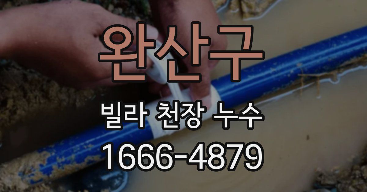완산구 빌라 천장 누수
