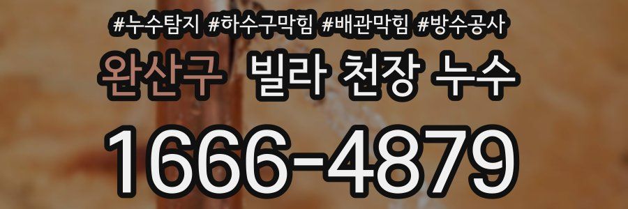 완산구 빌라 천장 누수