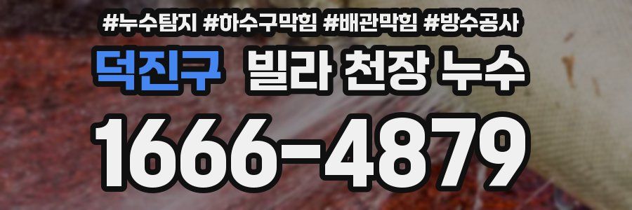 덕진구 빌라 천장 누수