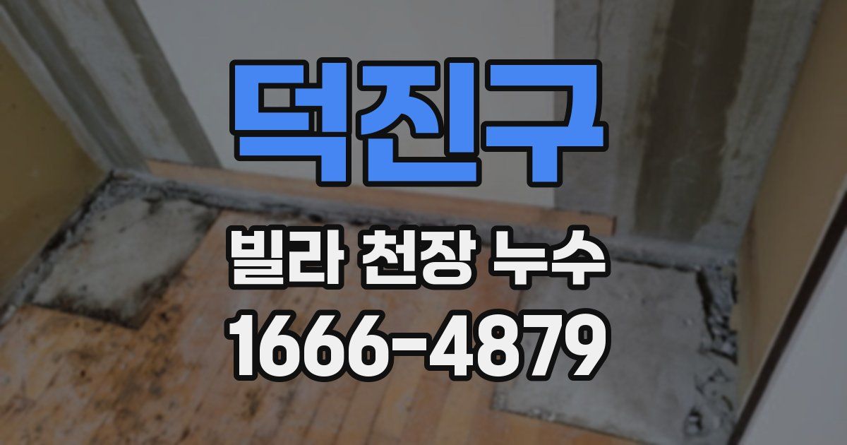 덕진구 빌라 천장 누수