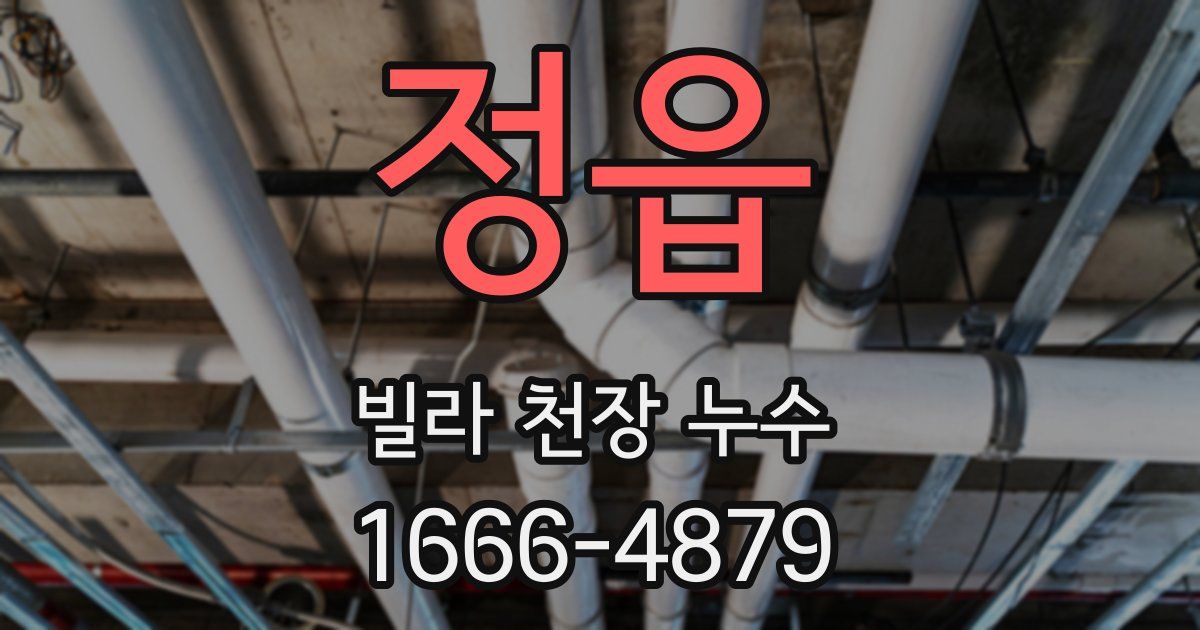 정읍 빌라 천장 누수