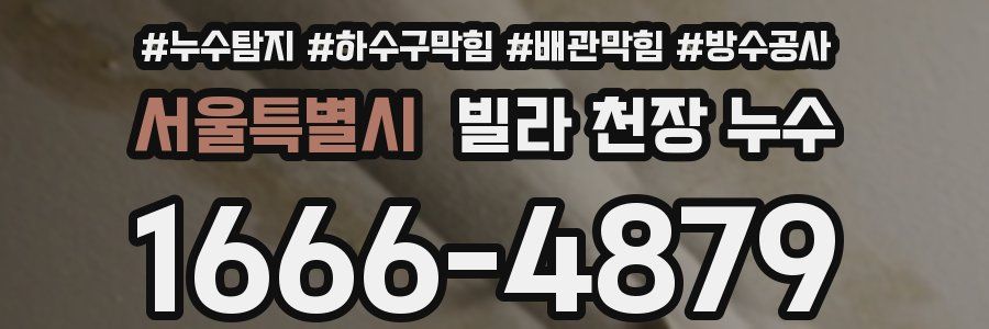 서울특별시 빌라 천장 누수