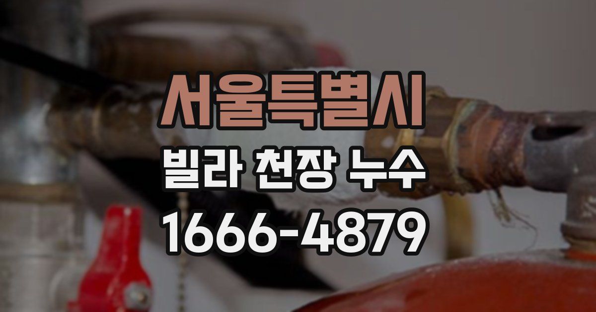 서울특별시 빌라 천장 누수