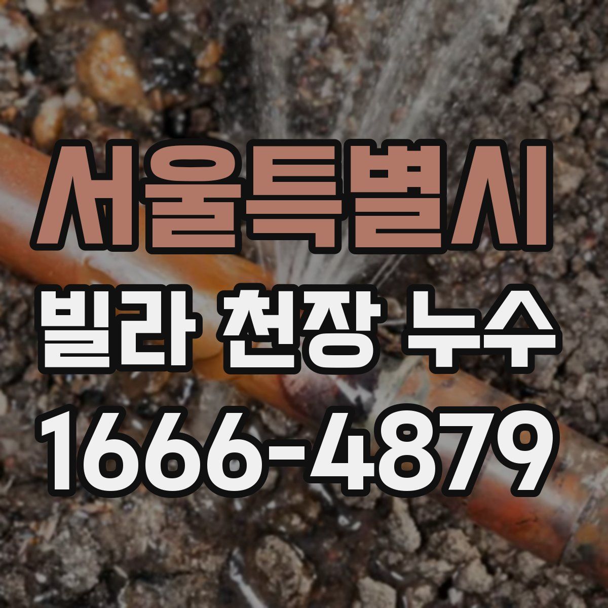 서울특별시 빌라 천장 누수