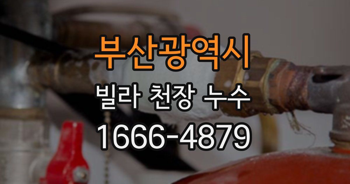 부산광역시 빌라 천장 누수