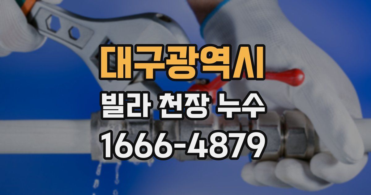 대구광역시 빌라 천장 누수