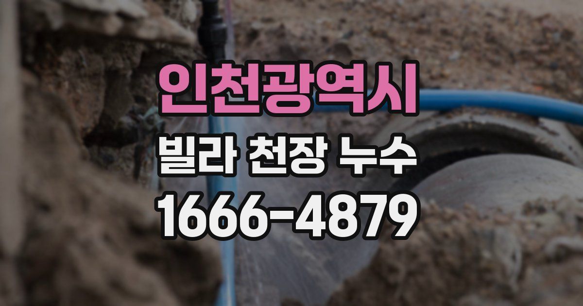 인천광역시 빌라 천장 누수