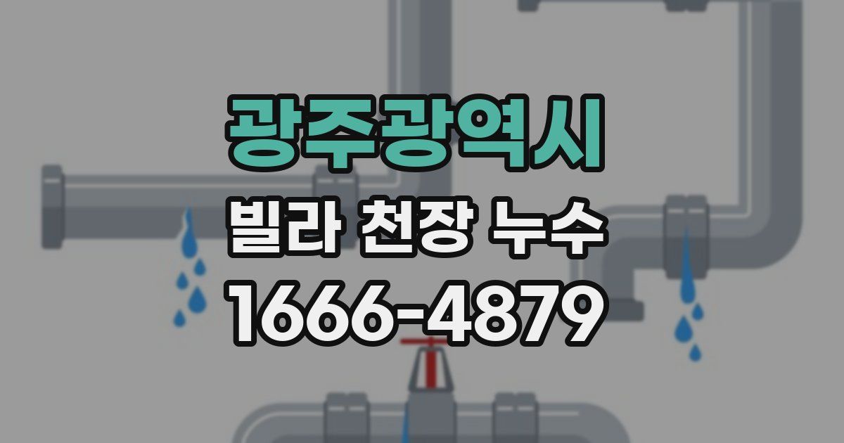 광주광역시 빌라 천장 누수