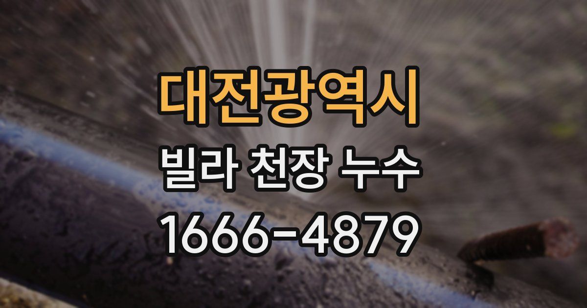 대전광역시 빌라 천장 누수