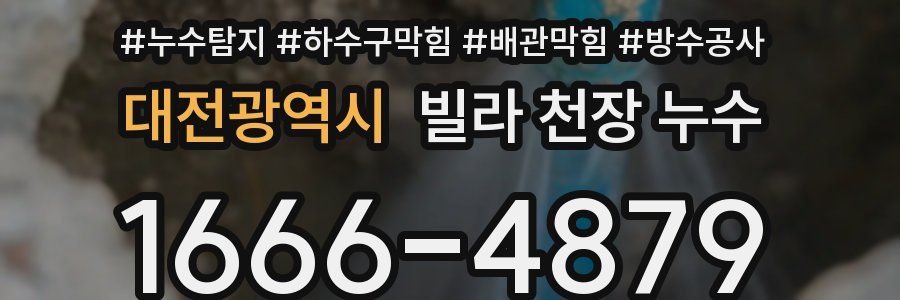 대전광역시 빌라 천장 누수