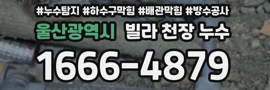 울산광역시 빌라 천장 누수